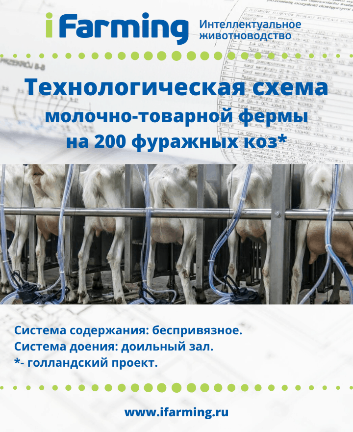 Козья ферма бизнес план на 100 голов